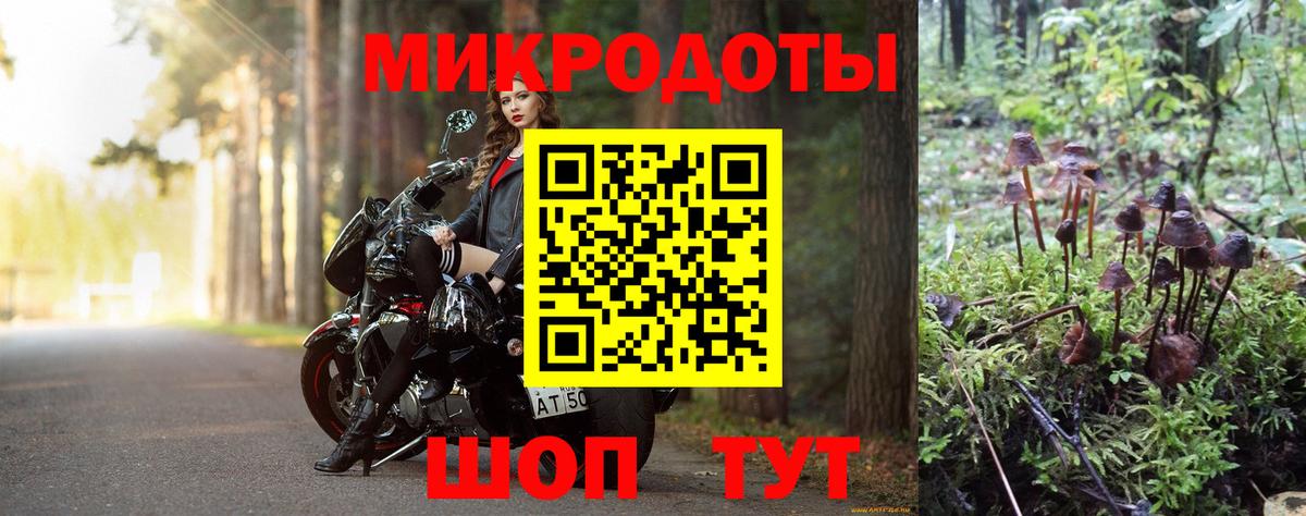 Аша  Псилоцибиновые грибы Psilocybe  Галлюциногенные грибы мухоморы  Вход с VPN 