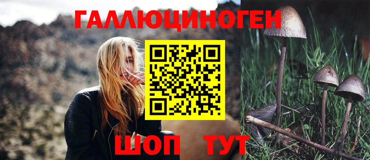 Псилоцибиновые грибы Psilocybine cubensis Аша